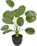 De Kunst Calathea 58 cm donker groen is een kunstplant met grote, ovale donkergroene gestreepte bladeren, weergegeven in een zwarte pot tegen een effen witte achtergrond.
