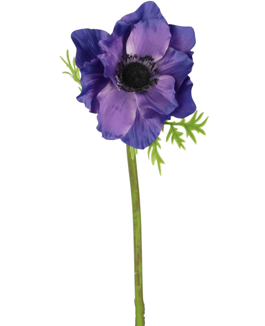 Il fiore artificiale di anemone viola da 43 cm ha un cuore scuro, foglie verdi delicate e un lungo stelo verde, che creano un sorprendente contrasto con lo sfondo bianco semplice.