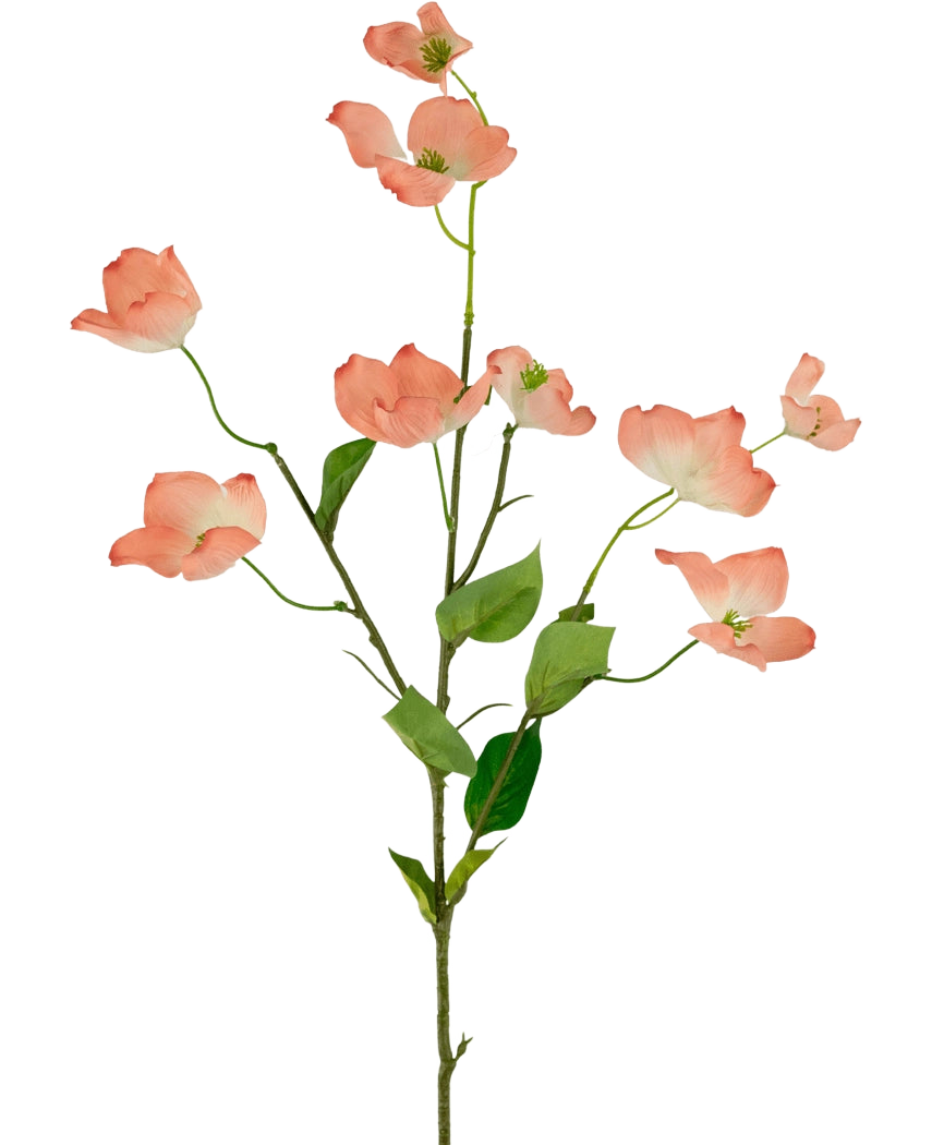 Il corniolo artificiale Real Touch rosa chiaro da 74 cm ha un unico stelo con più rami, ciascuno decorato con fiori di corniolo rosa chiaro e foglie verdi, su uno sfondo bianco semplice.