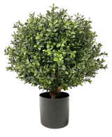 Il Buxus artificiale su stelo UV d30 cm è una pianta rotonda, verde cespugliosa, con foglie dense e lucide, in un vaso cilindrico nero a tinta unita, raffigurato su sfondo bianco.
