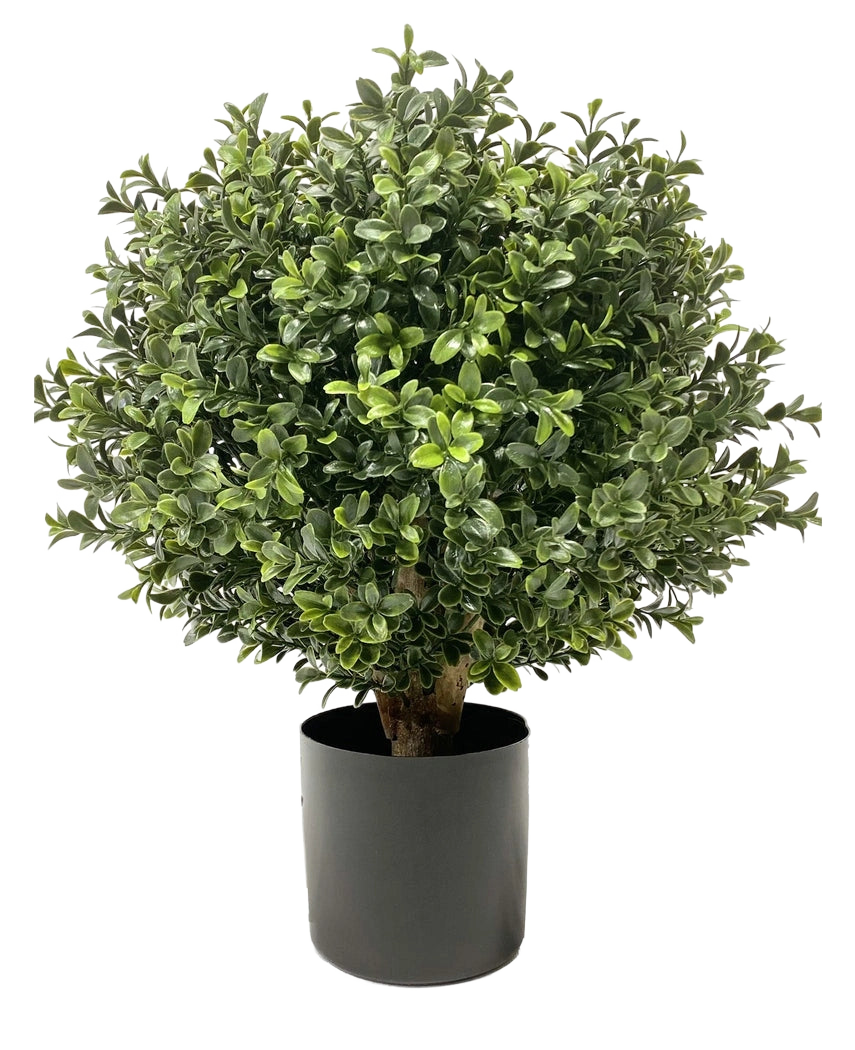 Il Buxus artificiale su stelo UV d30 cm è una pianta rotonda, verde cespugliosa, con foglie dense e lucide, in un vaso cilindrico nero a tinta unita, raffigurato su sfondo bianco.