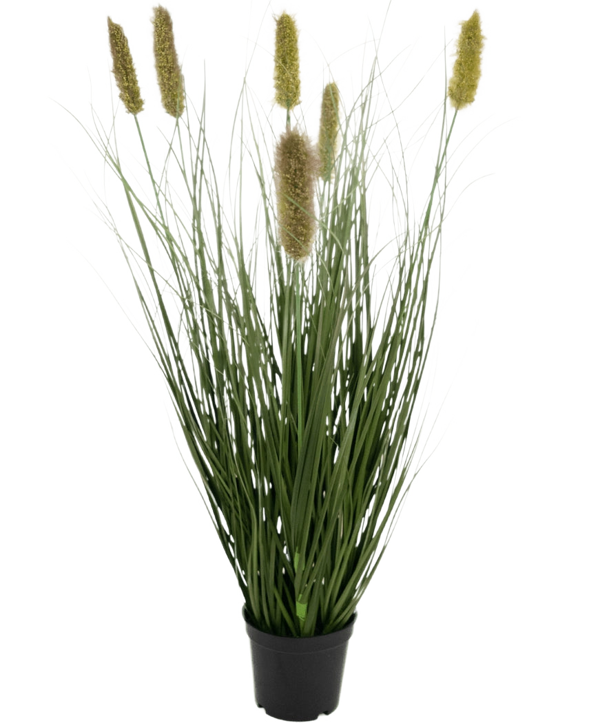 Il vaso per erba artificiale a cipolla Matsutake da 61 cm ignifugo ha foglie lunghe e sottili simili a erba verde e soffici pennacchi cilindrici giallastri in un vaso nero, che ricordano l'erba artificiale su uno sfondo bianco.