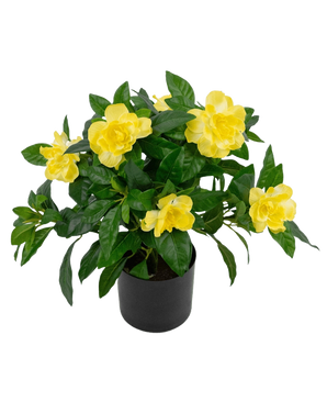 De Kunstplant Gardenia UV 39 cm is een weelderig groene kunstplant met grote, levendige gele bloemen en glanzende bladeren in een zwarte pot, tegen een effen witte achtergrond.