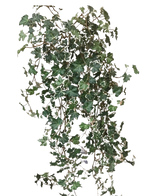 L'edera artificiale Deluxe Rich Green-White da 90 cm ha rigogliose foglie lobate verdi e bianche su steli finali, che risaltano magnificamente su un semplice sfondo bianco.