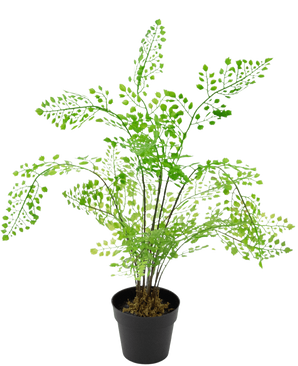 De Kunstplant Varen 35 cm is een kunstvaren in pot met delicate, lichtgroene, waaiervormige bladeren op slanke zwarte stelen, tegen een witte achtergrond.