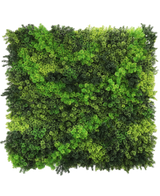 De Kunsthaag Fairyland Moss 100x100 cm UV is een vierkant paneel met dicht, levendig groen mos in verschillende tinten, dat een getextureerde, natuurlijke look biedt die perfect is tegen een witte achtergrond.