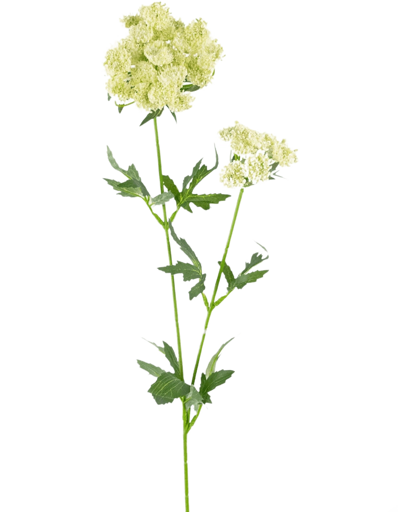 Il fiore artificiale Lace Flower 76 cm bianco è un singolo stelo artificiale con mazzi di piccoli fiori bianco-verdi chiari e foglie verdi seghettate e profondamente lobate, su uno sfondo bianco semplice.