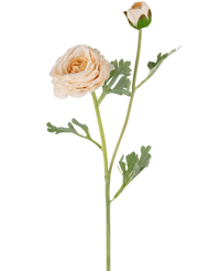 Ranuncolo artificiale Real Touch Cream 60 cm