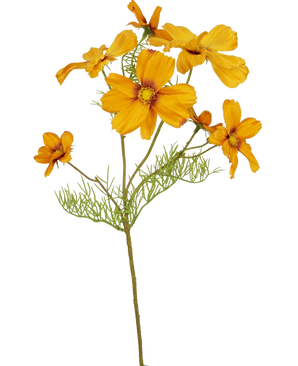 De Kunstbloem Cosmos 74 cm oranje heeft verschillende fel oranje bloemen en vederlichte groene bladeren, ideaal om levendige kleur toe te voegen aan je bloemen in huis; geïsoleerd weergegeven op een witte achtergrond.