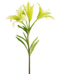 Fiore artificiale Giglio asiatico 66 cm bianco