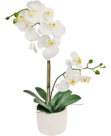 L'orchidea artificiale Real Touch bianca da 60 cm ha delicati fiori bianchi, boccioli verdi e ampie foglie verdi, sostenute da un sottile paletto in un piccolo vaso bianco.