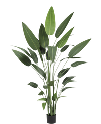 Piante Artificiali Eliconia 210 cm
