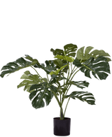 De Kunstplant Monstera 85 cm is een kunstplant met grote, glanzend groene bladeren met kenmerkende splitten en gaten, weergegeven in een eenvoudige zwarte pot tegen een witte achtergrond.