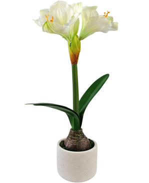 Il fiore artificiale Amaryllis Real Touch bianco 48 cm ha un realistico fiore di amaryllis bianco con foglie verdi e bulbo visibile in un piccolo vaso bianco, perfetto per aggiungere eleganza a qualsiasi stanza.