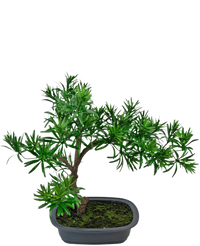 Bonsai artificiale Podocarpus 40 cm