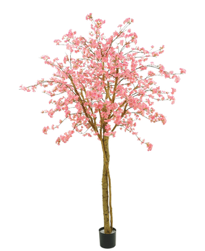 L'albero di ciliegio artificiale rosa da 240 cm ha fiori rosa, rami marroni e un vaso nero su uno sfondo bianco.