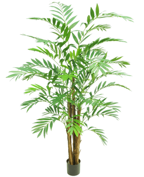 De Kunstplant Hawaii Parlour 180 cm is een hoge kunstpalm met meerdere groene, vederachtige bladeren en verschillende bruine stelen, in een kleine zwarte pot tegen een effen witte achtergrond.