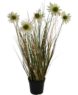 L'erba artificiale crisantemo-cipolla ignifuga da 60 cm ha foglie lunghe e sottili verdi e marroni con diversi steli alti sormontati da fiori bianchi simili a margherite con un cuore giallo.