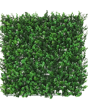 De Kunsthaag Buxus groen 50x50 cm UV is een vierkant paneel met dichte kunstgroene buxusbladeren, waardoor een weelderige haag ontstaat, van bovenaf gezien tegen een witte achtergrond.
