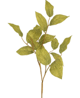 Het Kunsttak appelblad 70 cm heeft meerdere groene, geaderde zijden bladeren op dunne stelen, tegen een effen, lichte achtergrond.