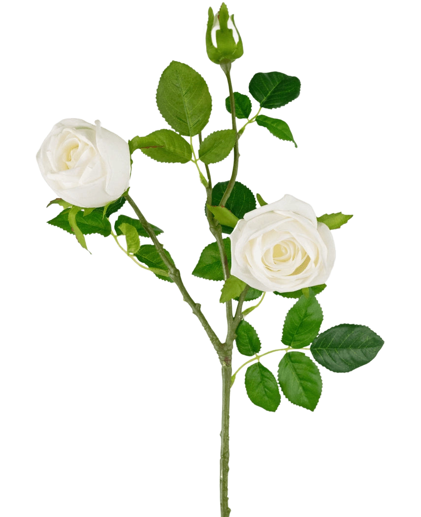 Il ramo di rosa artificiale Real Touch bianco da 72 cm ha un unico stelo con due rose bianche in fiore, un bocciolo di rosa e diverse foglie verdi, il tutto su un semplice sfondo bianco.