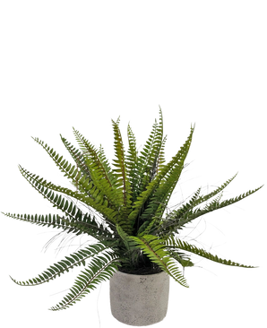 De Kunstplant Boston Varen 48 cm heeft lange, smalle groene bladeren en wordt geleverd in een ronde grijze sierpot, geïsoleerd afgebeeld op een witte achtergrond.