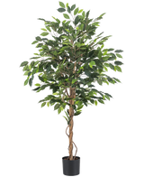 De Kunstplant Ficus 150 cm brandvertragend heeft groene bladeren en meerdere slanke, gedraaide bruine stammen in een zwarte pot. Het brandvertragende materiaal zorgt voor extra veiligheid in elke ruimte.