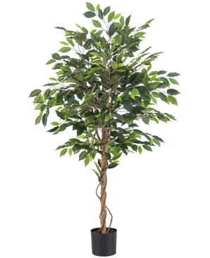 De Kunstplant Ficus 150 cm brandvertragend heeft overvloedige groene bladeren en gedraaide bruine stammen in een kleine zwarte pot, een mix van natuurlijke stijl met vlamvertragende veiligheid op een witte achtergrond.