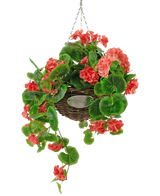 De Kunstbegonia roze in mand UV 70cm is een hangende rieten mand met weelderige groene bladeren en levendige koraalroze begonia bloemen, opgehangen aan een zilveren ketting tegen een witte achtergrond.