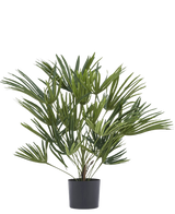 De Kunstplant Baby Palm Fan in pot UV 50 cm heeft lange, slanke groene bladeren in een stijlvolle pot - ideaal om een elegant tintje aan je interieur te geven of om te combineren met sierpotten voor extra flair.