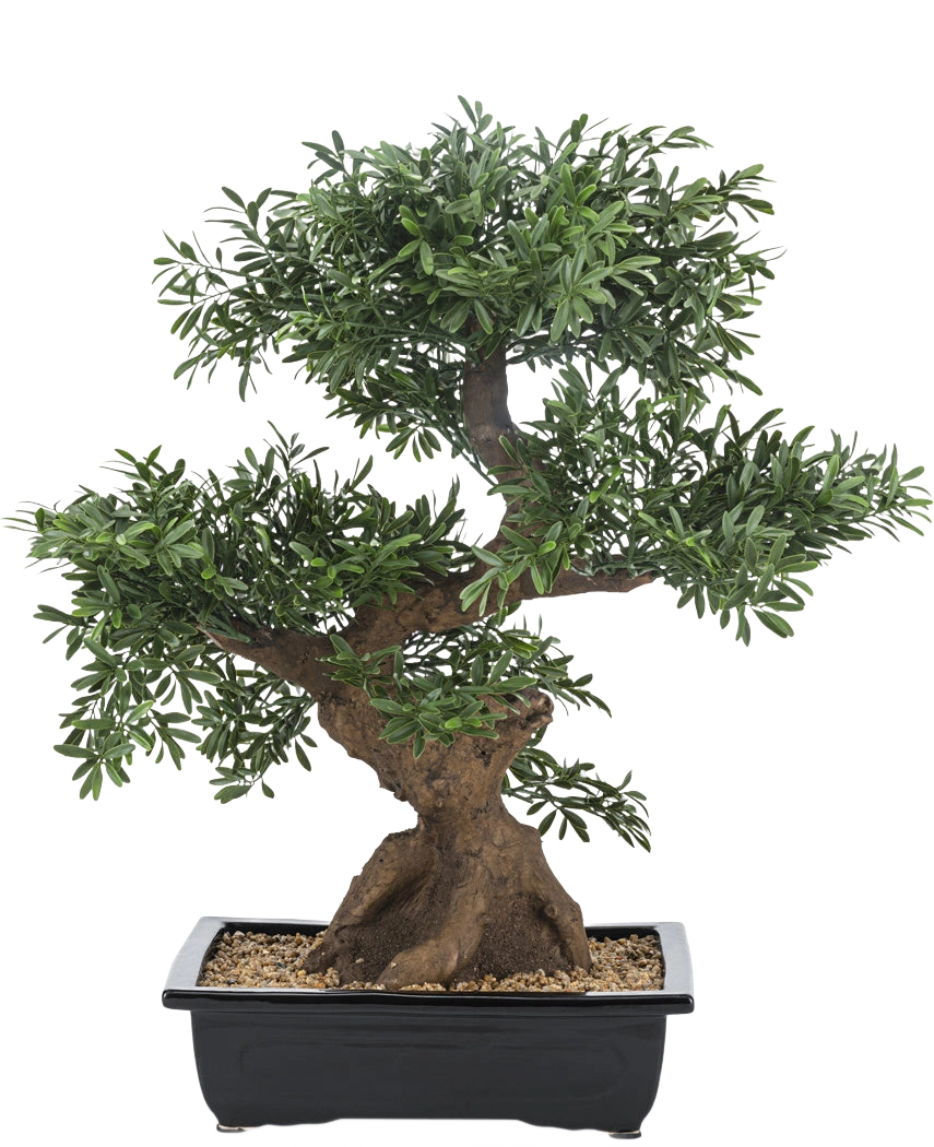 L'albero bonsai artificiale da 70 cm in vaso ha una chioma verde densa e un tronco spesso e contorto, in un vaso rettangolare nero pieno di ciottoli su sfondo bianco.
