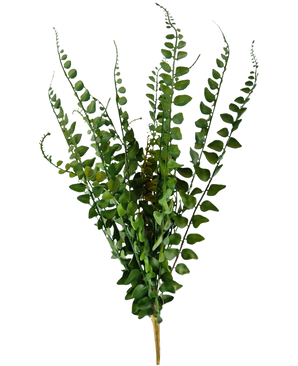 De Kunst Steek Varen 48 cm heeft een bundel groene, bebladerde kunstvarenstelen met meerdere rechtopstaande bladeren en gelijkmatig verspreide, afgeronde blaadjes, geïsoleerd op een witte achtergrond.