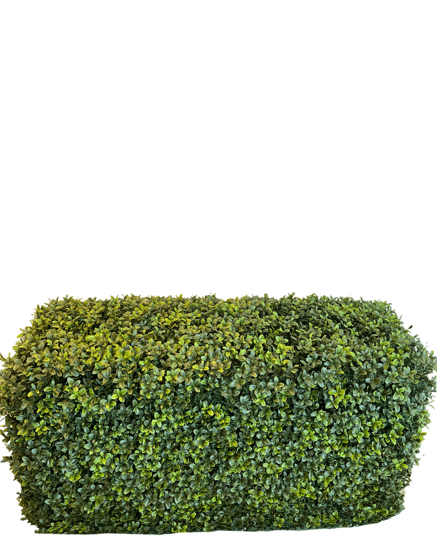 La Siepe Artificiale in Bosso Stile Romano (90 x 35 x 50 cm) è una siepe fitta, rettangolare, verde, con foglie piccole, isolata su fondo bianco.
