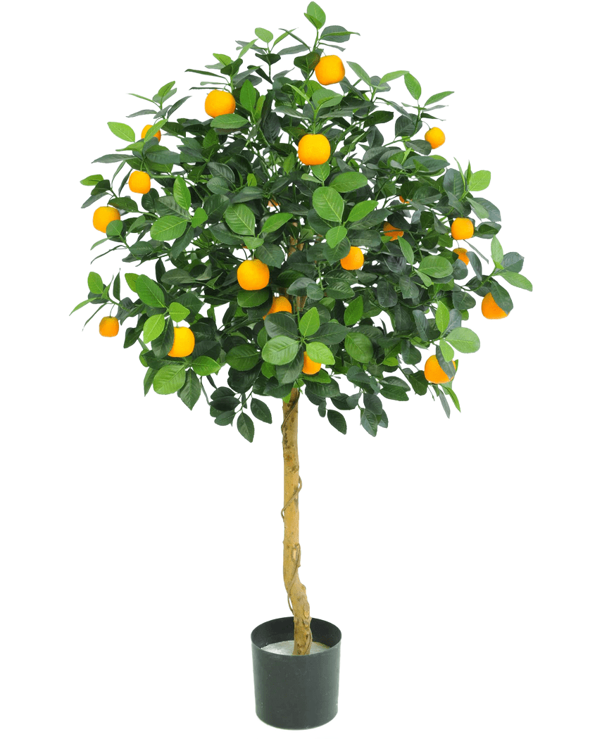 L'arancio artificiale da 120 cm di Easyplants ha foglie verdi rigogliose e tanti frutti di colore arancione brillante, esposti in un vaso su un semplice sfondo bianco.
