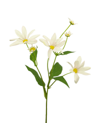 Fiore artificiale Daisy 60 cm bianco/rosa