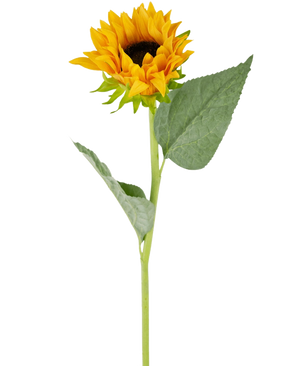 De Kunst Zonnebloem Real Touch 61cm heeft een enkele zonnebloem met heldergele bloemblaadjes, een donkerbruin hart en twee grote groene bladeren op een groene steel, geïsoleerd op een witte achtergrond.