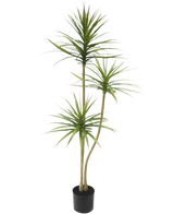 La pianta artificiale Dracaena Fragnans 150 cm è una pianta artificiale alta in vaso con tre steli sottili con foglie verdi sottili su uno sfondo bianco.