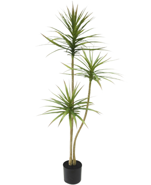 La pianta artificiale Dracaena Fragnans 150 cm è una pianta artificiale alta in vaso con tre steli sottili con foglie verdi sottili su uno sfondo bianco.