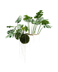 Piante Finte ricadente Monstera Deluxe 80 cm