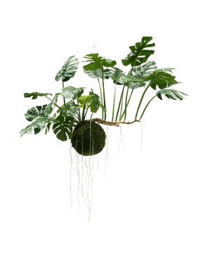 La pianta pensile artificiale Monstera Deluxe 80 cm, con foglie verdi lussureggianti e lunghe radici visibili, pende su uno sfondo bianco e dona immediatamente ai tuoi interni un aspetto tropicale.