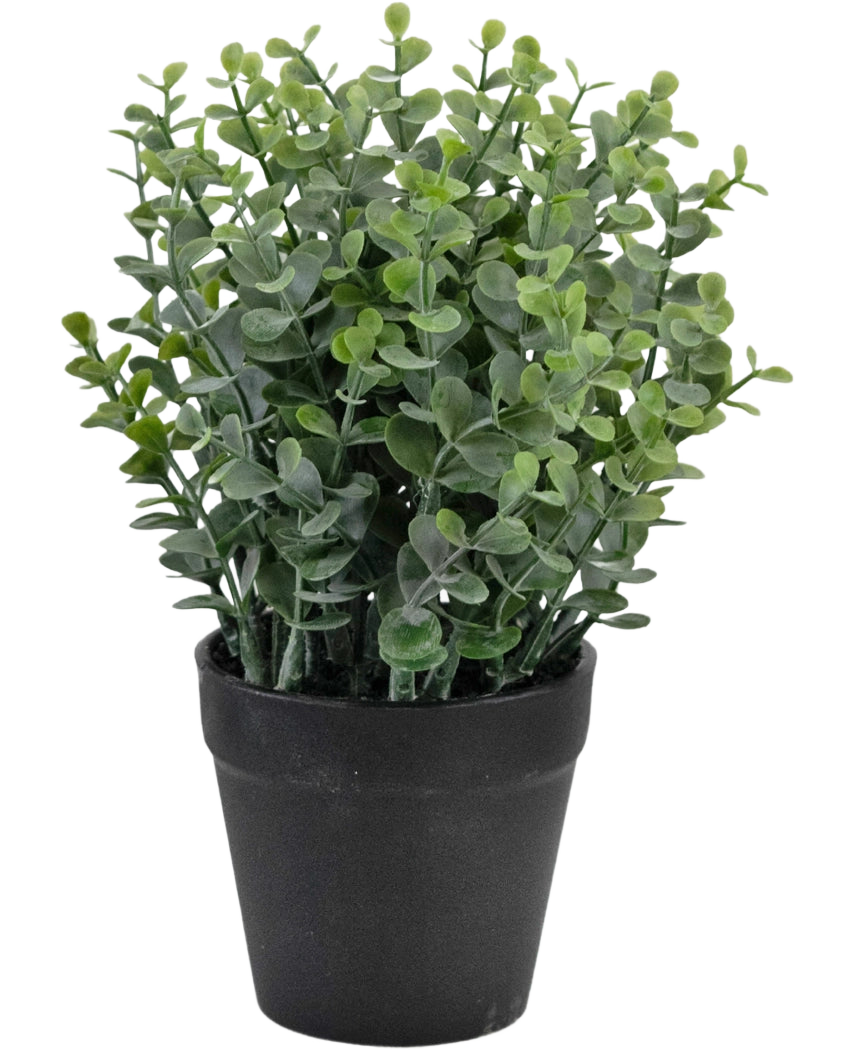 La pianta artificiale Pumila 23 cm è una piccola pianta verde con foglie rotonde in un semplice vaso nero, raffigurata su uno sfondo bianco.
