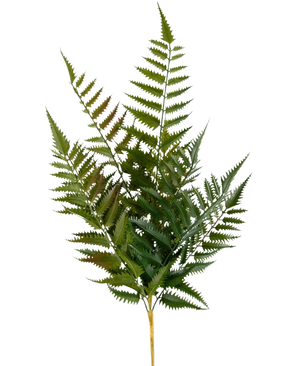 La Felce Punto Artificiale 56 cm ha un unico stelo con molteplici fronde di felce verde e foglioline appuntite finemente divise, isolate su sfondo bianco.
