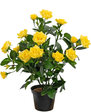 De Kunstplant Mini Rose UV 35 cm geel is een kunstplant in pot met meerdere stelen van levendige gele rozen en groene bladeren, weergegeven in een kleine zwarte container tegen een eenvoudige achtergrond.
