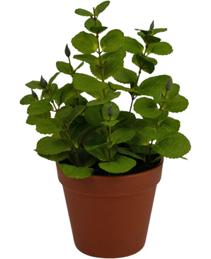 De Kunstplant Mint 30 cm is een klein groen bladplantje met rechtopstaande stengels, geplaatst in een eenvoudige bruine plastic pot tegen een witte achtergrond.