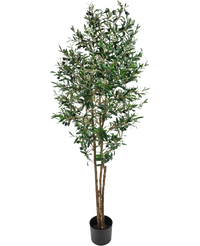 Albero di ulivo artificiale 180 cm UV