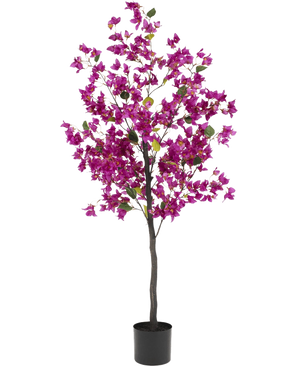 La Bougainvillea artificiale viola da 150 cm ha uno stelo alto e sottile con vivaci fiori viola e foglie verdi, in un semplice vaso nero su uno sfondo bianco.
