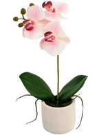 De Kunst Orchidee Real Touch 30 cm roze/wit heeft drie lichtroze bloemen en groene bladeren in een eenvoudige witte pot, perfect om elke ruimte op te fleuren.