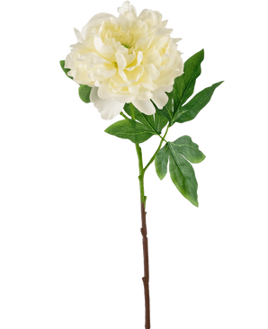 Il fiore artificiale peonia bianca da 61 cm è una peonia bianca artificiale con petali stratificati e foglie verdi su un lungo stelo marrone, raffigurata su un semplice sfondo bianco.