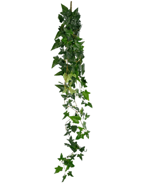 La pianta pensile artificiale Ivy Boston 120 cm verde ha un lungo filo di edera verde artificiale con foglie dense e appuntite che cadono su uno sfondo bianco semplice.