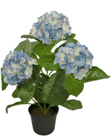 L'ortensia artificiale blu UV 35 cm ha tre grandi grappoli di fiori azzurri e bianchi con foglie verdi lussureggianti, disposti in un vaso su uno sfondo bianco a tinta unita.
